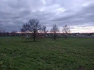 Les trois arbres alignés de la Méridienne verte.