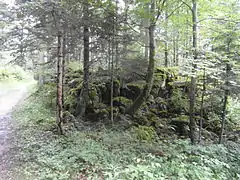 Forêt de Villard, secteur du Peuil près du Liorin