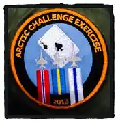 Patch d'épaule de l'ACE 2013