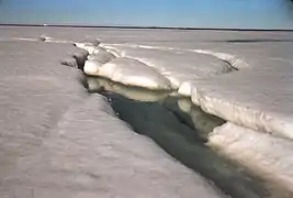 Débâcle dans l'Arctique.