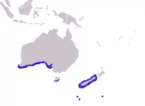 Aire de répartition de l'Otarie à fourrure de Nouvelle-Zélande