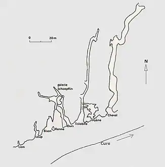 Huit grottes groupées sur environ 70 m, d'amont en aval (O-E) : Lion, Loup, Bison, Renne, grotte des Ours, Trilobite, Hyène, Cheval.