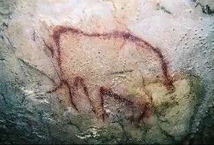 Mammouth peint, Grande grotte d'Arcy-sur-Cure (Yonne, France)