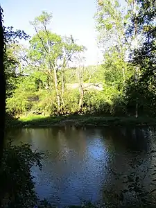 La Cure ; en rive droite, la plaine des Coulanges sur Saint-Moré.