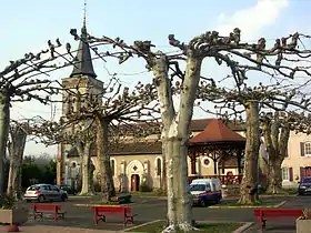 Image illustrative de l’article Église Notre-Dame-et-Sainte-Catherine d'Arengosse