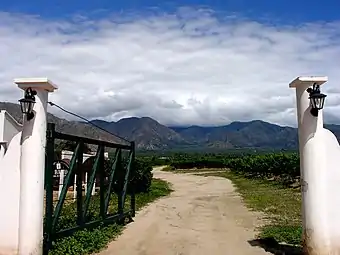 Vallées Calchaquies, Cafayate, dans la province de Salta.