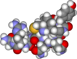 Image illustrative de l’article Vasopressine