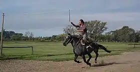 San Antonio de Areco