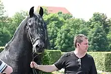 Tête d'un cheval noir façon portrait et un homme à ses côtés.