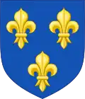 Armoiries de François Ier, roi de France. François retire la brisure de la branche de Valois-Angoulême au chef des armes, lors de son accession à la couronne.