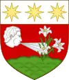 Blason de Luigi Braschi-Onesti