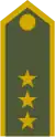 Plukovník(Slovak Ground Forces)