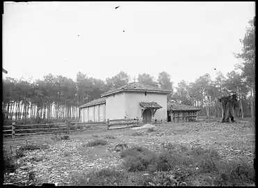 Chapelle Saint-Pierre de Mézos, photograpfiée par Félix Arnaudin en 1906