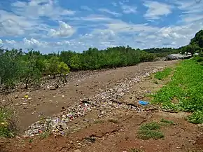 Exemple de plage polluée par des ordures, à Majicavo. L'éducation environnementale est un défi à Mayotte.