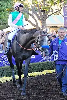 Image illustrative de l’article Arrogate