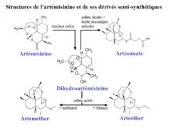 Structures de l'artémisinine et de ses dérivés semi-synthétiques