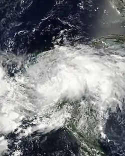 Vue satellite de la tempête tropicale Arthur.