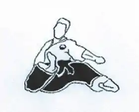 Logo officiel du Shinkai Jeetkidokaï Karaté