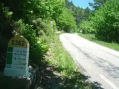 Borne kilométrique et ascension en forêt.