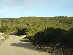 Court palier après 1,8 km d’ascension et vue sur le sommet à droite.