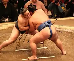 Combat de sumo