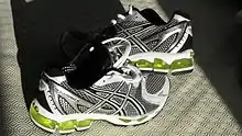 Asics Gel Kayano 15