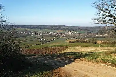 Asquins et son vignoble à vins de Bourgogne. Vue vers l'ouest depuis la Tournelle.