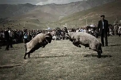 Combat lors du Festival Asrlar Sadosi en Ouzbékistan en 2008.