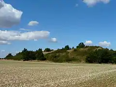 Tumulus de la Motte de Puytaillé