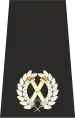 UK Police Assistent Chief Constable Epaulette