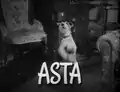 Asta