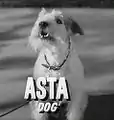 Asta.