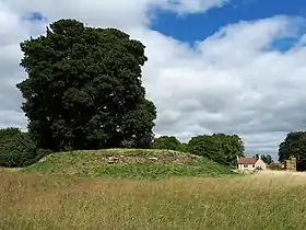 Image illustrative de l’article Tumulus d'Asthall