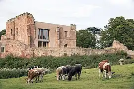 Photo d'un bâtiment moderne construit à l'intérieur de vieux murs en brique à moitié en ruine. Un troupeau de vaches paisse tranquillement dans un pré au premier plan