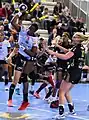 Avec Brest Bretagne Handball (2017)