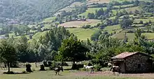 Au fond d'une vallée, une masure apparait en bas avec des chevaux.