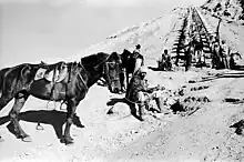 Photo en noir et blanc montrant au premier plan un cheval noir harnaché et au second plan des travaux sur une montagne
