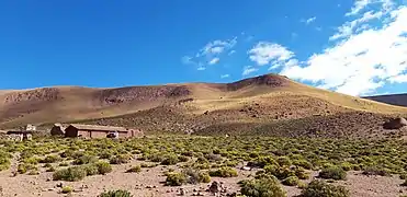 Le Désert d'Atacama - Étape 5