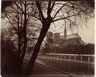 Eugène Atget, Notre-Dame, 1922