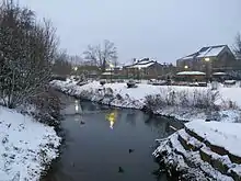 Ilot artificiel de la Messancy, dans le parc animalier d'Athus.