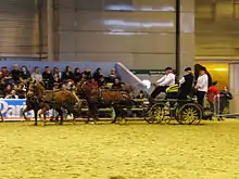 Photo d'un attelage de 4 poneys landais tractant un véhicule hippomobile.