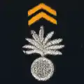 Centre national d'entrainement commando - 1er régiment de choc