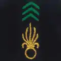 Légion étrangère - Infanterie et génie