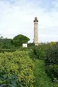 Au loin, le phare des Baleines