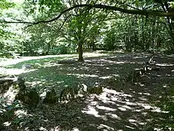 Le cromlech du Puy de Pauliac.