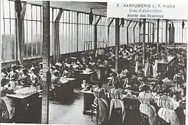 Parfumerie L.T. Piver - atelier des essences