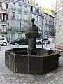 La fontaine des Vallenet.