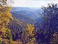 Vue depuis le Teisenkopf dans la vallée de la Kinzig