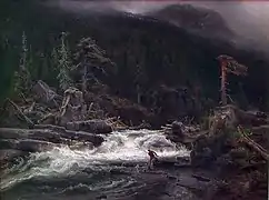 Chute d’eau à Telemark