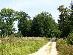 La route des Fossés sur le mont Alta.